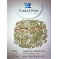 cumin seeds supplier