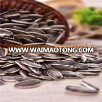 2017 new crop cheap bulk sunflower seed 5009