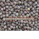 air dried perilla seed / Perilla Seed Oil ALA-60%,Purple Perilla Seeds for sale