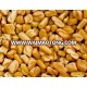 Indian Fenugreek seeds