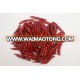 Pure Red Paprika Organic