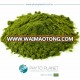 SPINACH EXTRACT