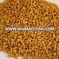 Indian Fenugreek Seeds