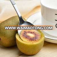 fresh red kiwi fruit