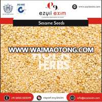 Sesame Seed for Bulk Export