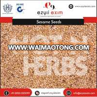 Low Price Export of Sesame Seeds