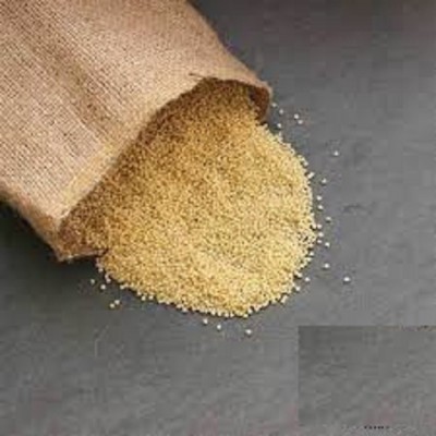 new crop red yellow millet for animal food feed